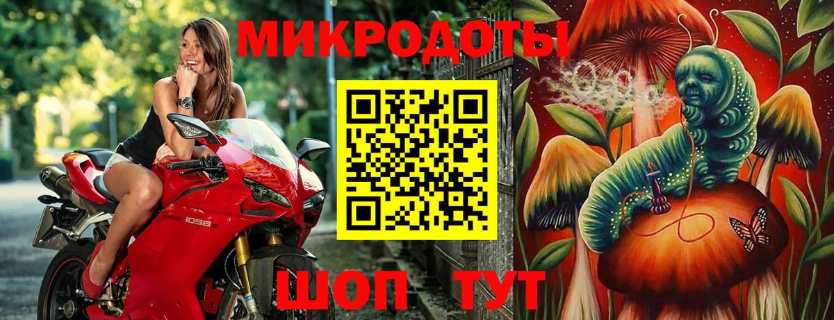 Псилоцибиновые грибы Psilocybine cubensis Борисоглебск