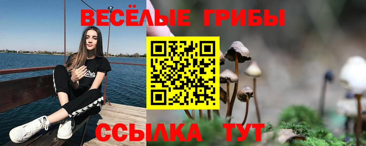 Борисоглебск  Псилоцибиновые грибы Psilocybe  Вход с VPN  Галлюциногенные грибы MAGIC MUSHROOMS 